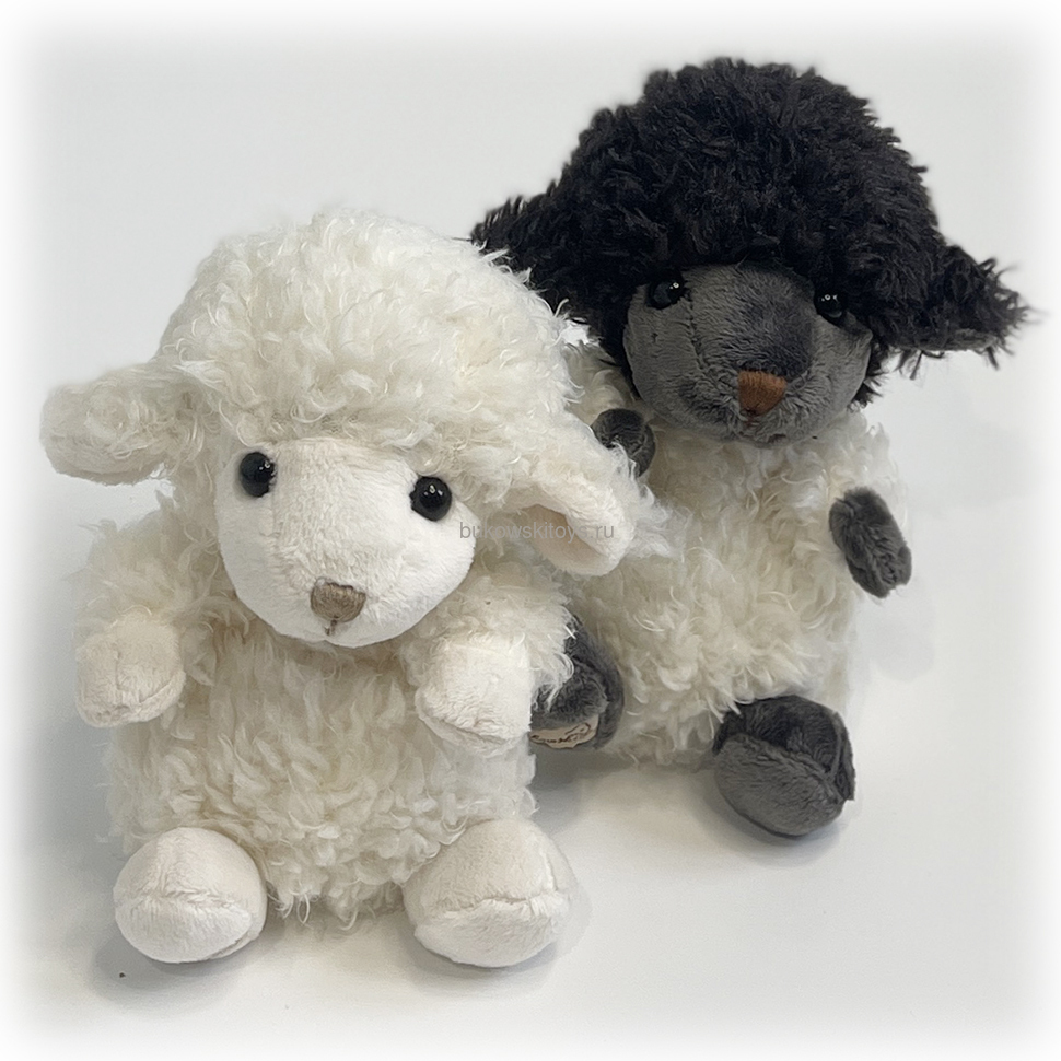  Baby Black Sheep, 15  (,  1)