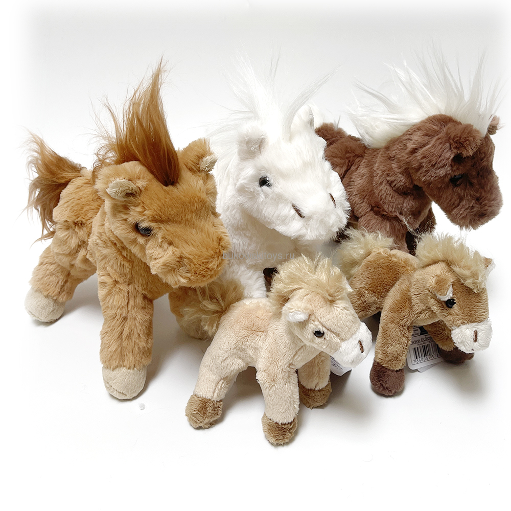  Pony , 15 (,  2)
