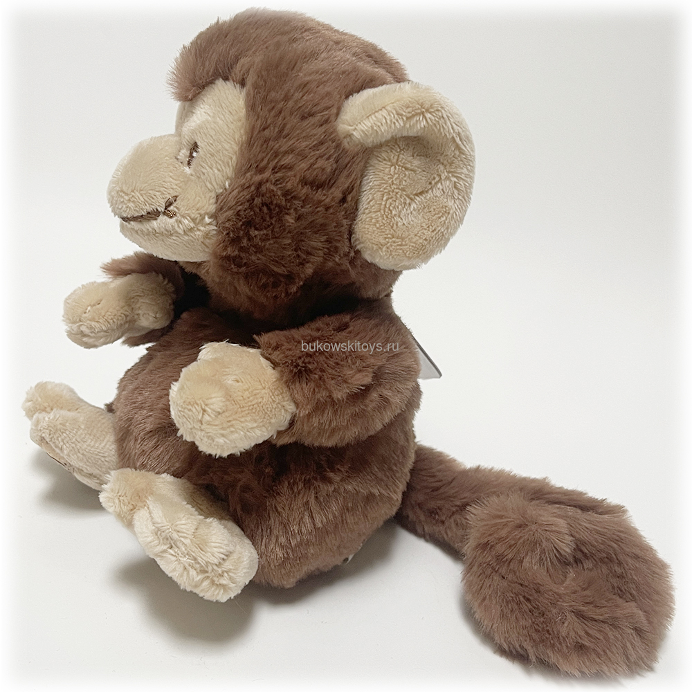  Le Petit Bernard, 14  (,  1)