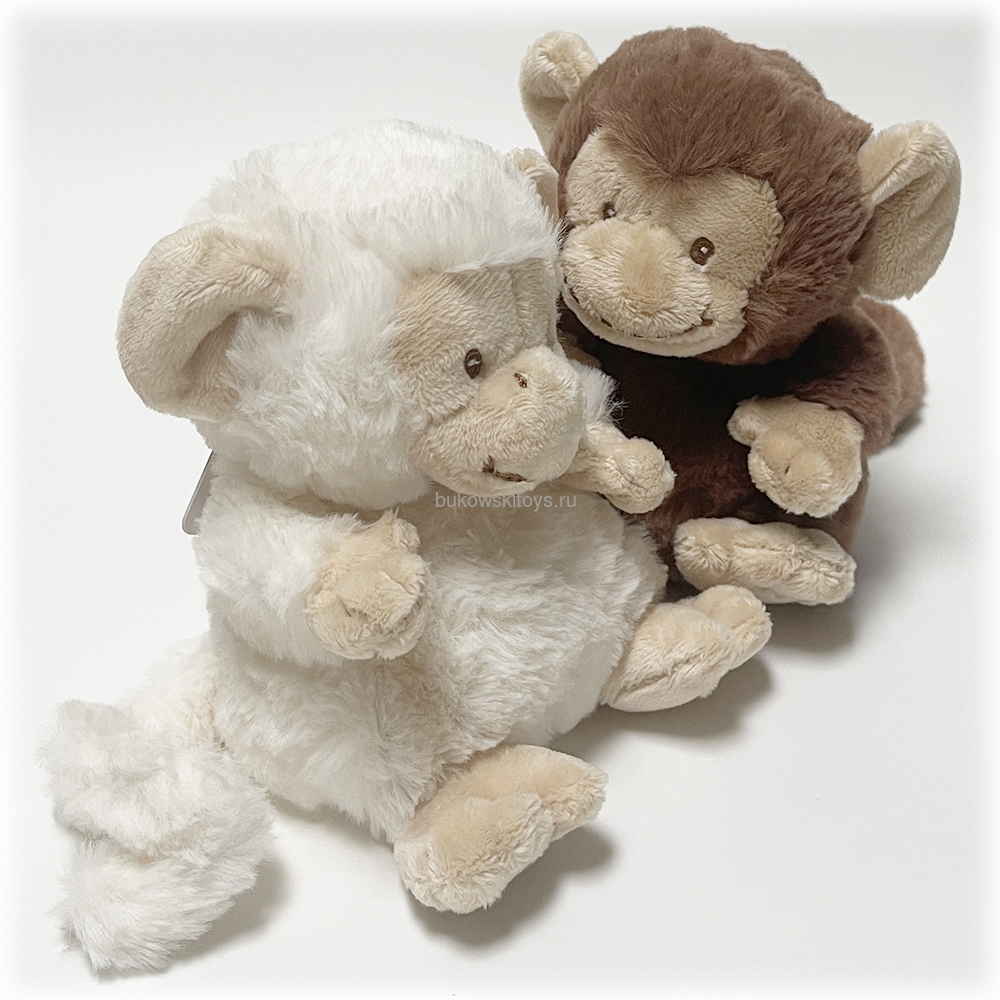  Le Petit Bernard, 14  (,  3)