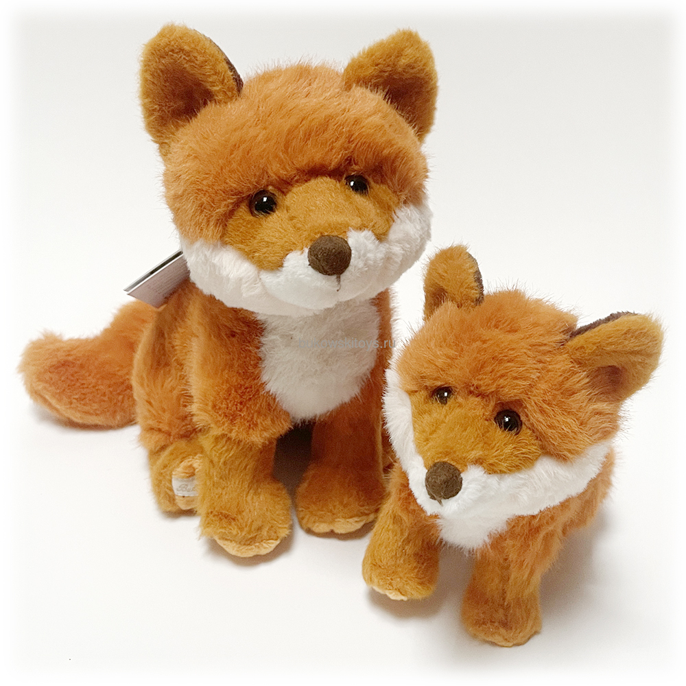 ���� Sweet Clever Fox, 25 �� (����, ��� 2)