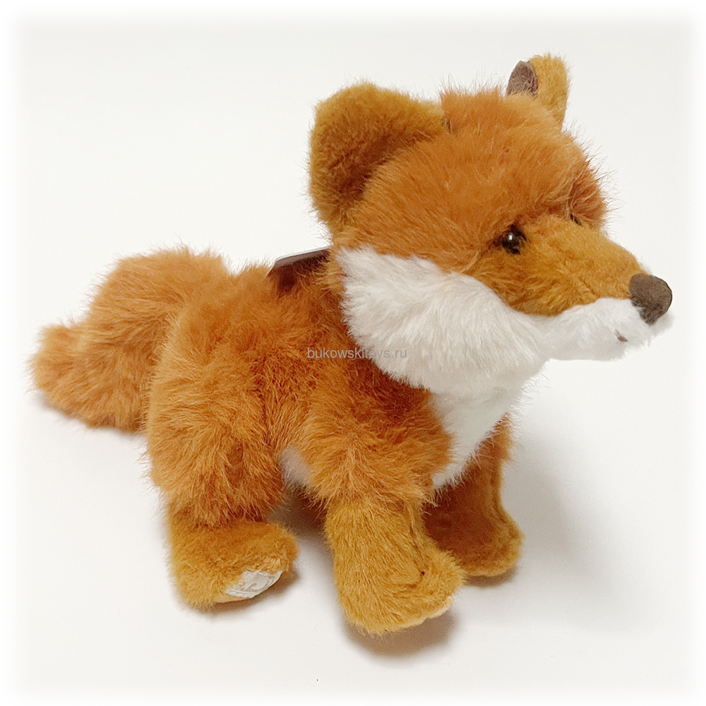  Clever Fox, 15  (,  1)