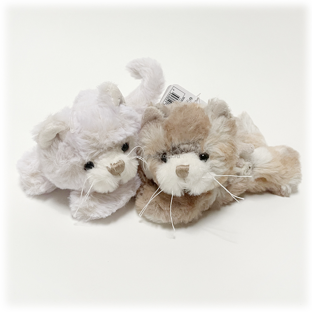  "Cozy Cats" Multicolor , 15 (,  2)