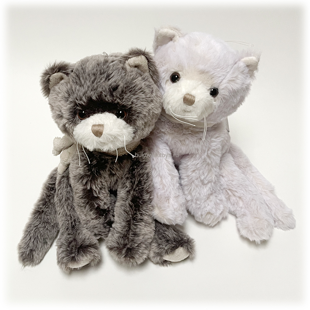  Cute Catty, 25 (,  2)