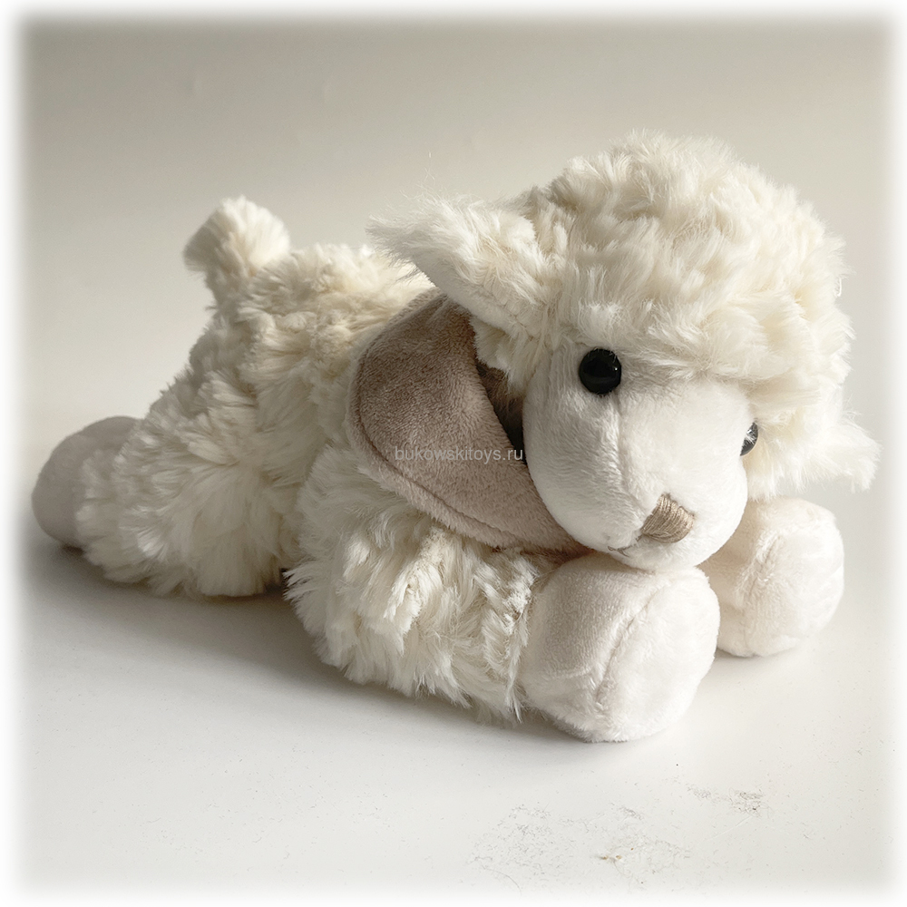 ������ "Lazy Lefty", 25�� (����, ��� 1)