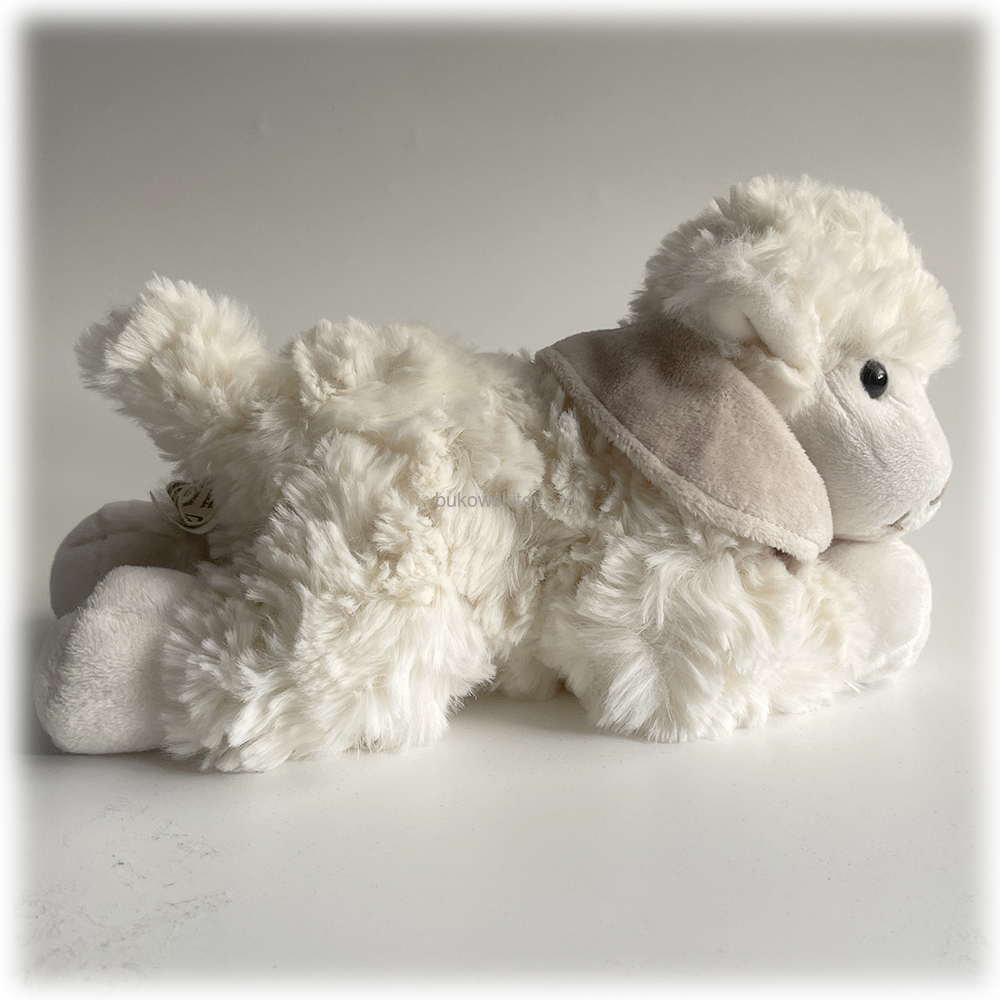 ������ "Lazy Lefty", 25�� (����, ��� 2)