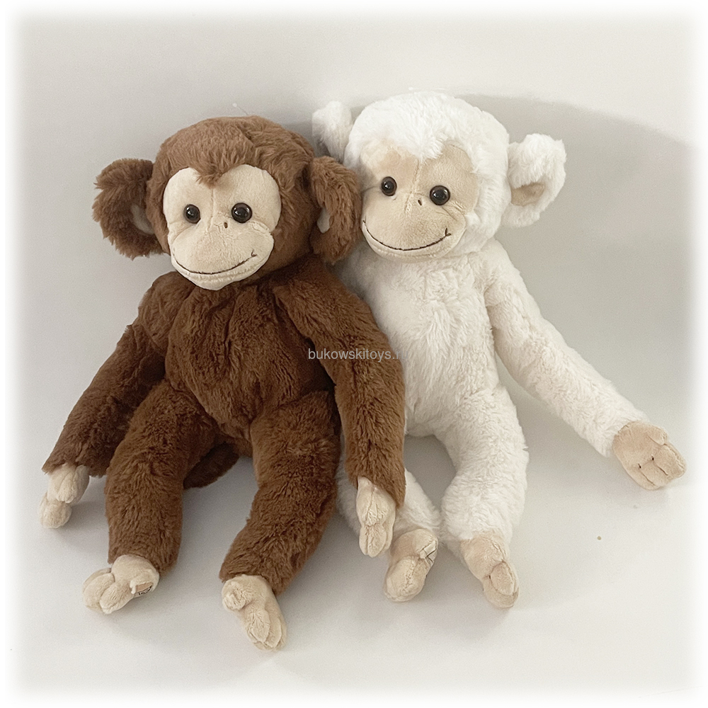 �������� Cute Bernard, 40 �� (����, ��� 2)