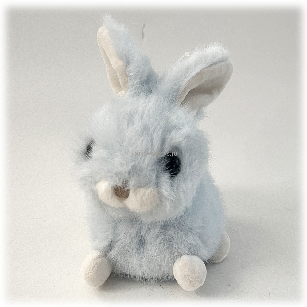 ���� Baby Bunny Heavenly, 18 �� (����, ��� 1)