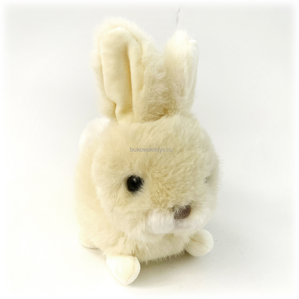 ���� Baby Bunny Vanilla, 18 �� (����, ��� 1)