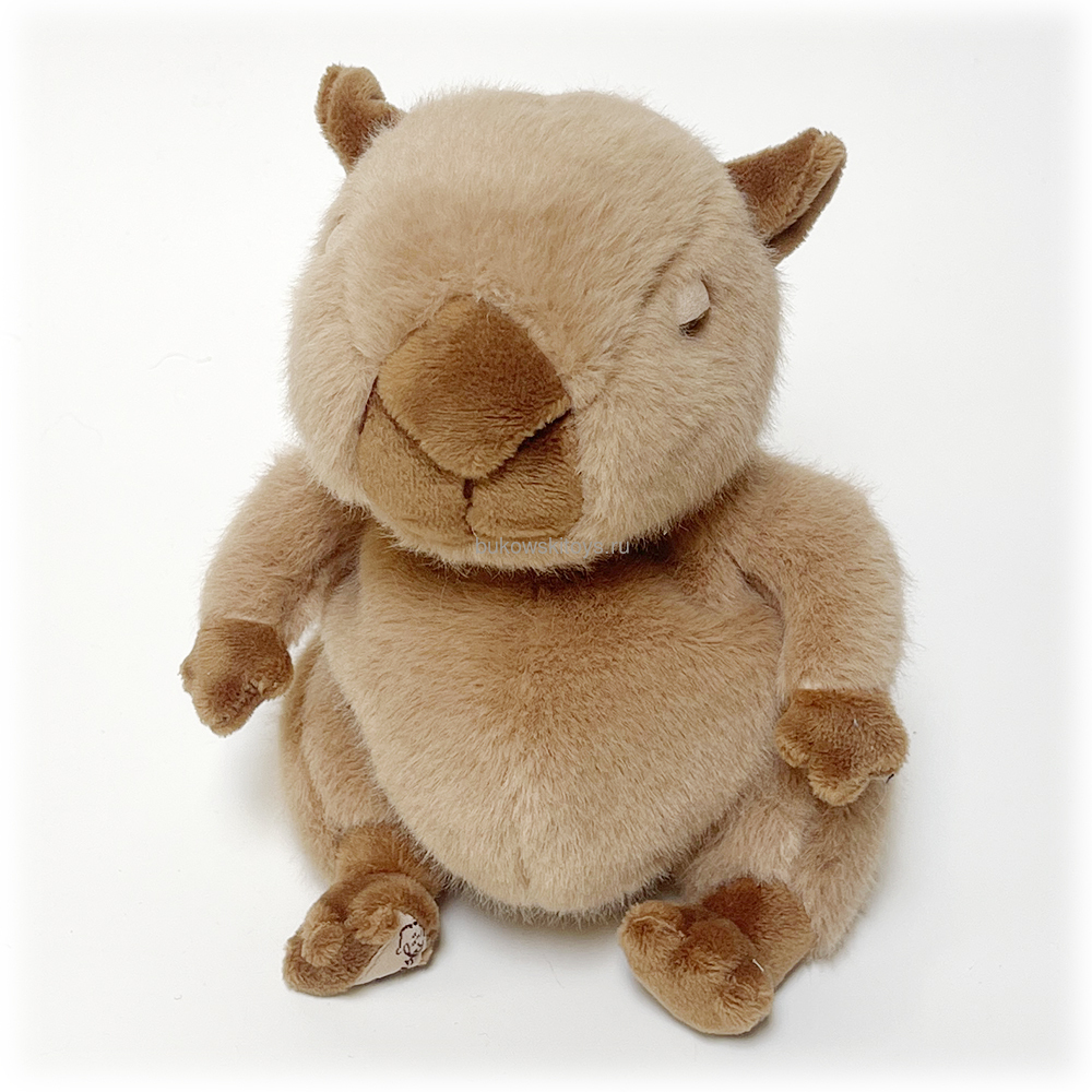 �������� Baby Theo, 15�� (����, ��� 1)