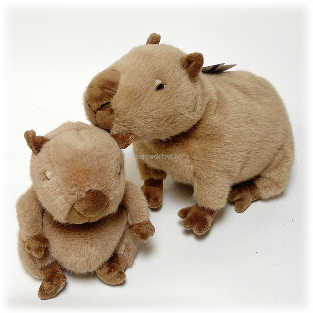 �������� Baby Theo, 15�� (����, ��� 2)