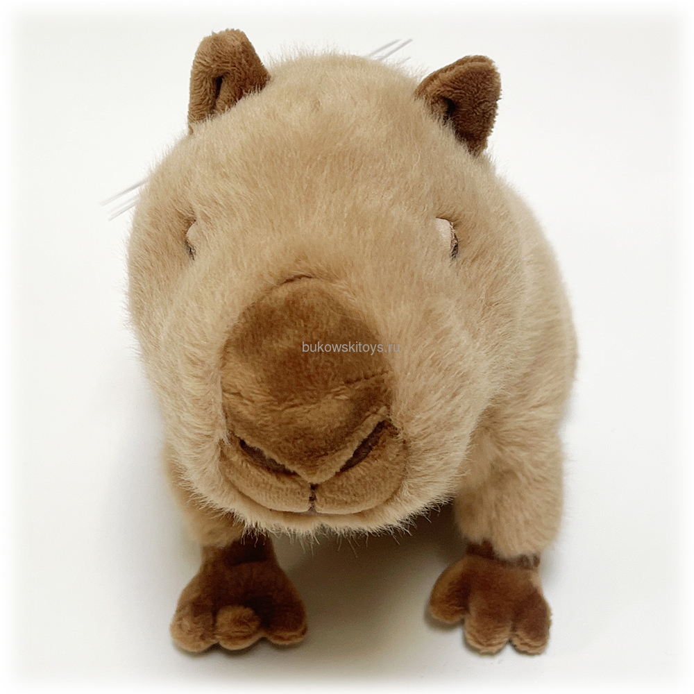 �������� Theo, 25�� (����, ��� 1)