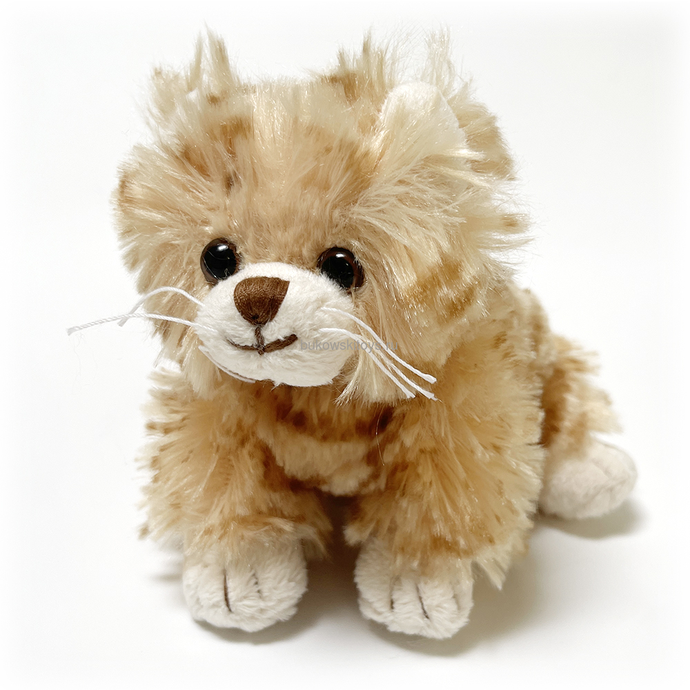 ��� Little Loke, 15�� (����, ��� 1)