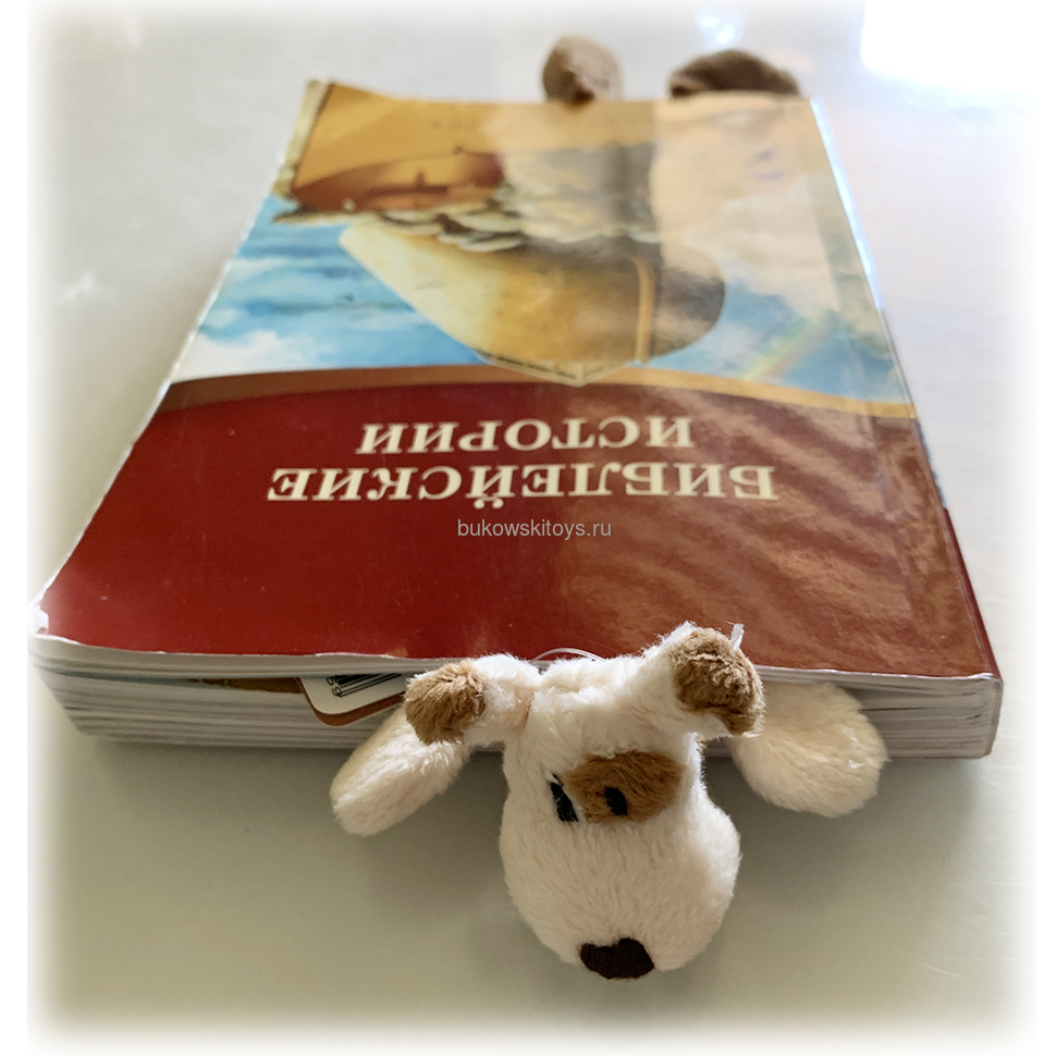 - "Funny Dogs", 28  (,  3)