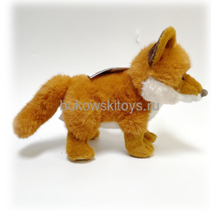 Sweet Clever Fox, 25 .  2
