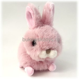 ���� Baby Bunny Mimi, 18 ��. ��� 2