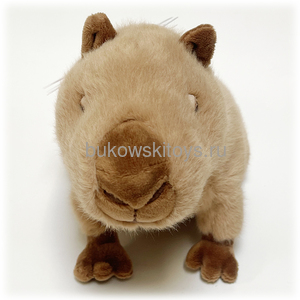 �������� Theo, 25��. ��� 2