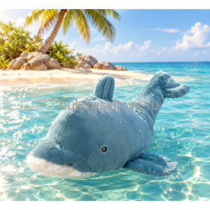 ������� Sweet Nemo, 25 ��. ��� 2