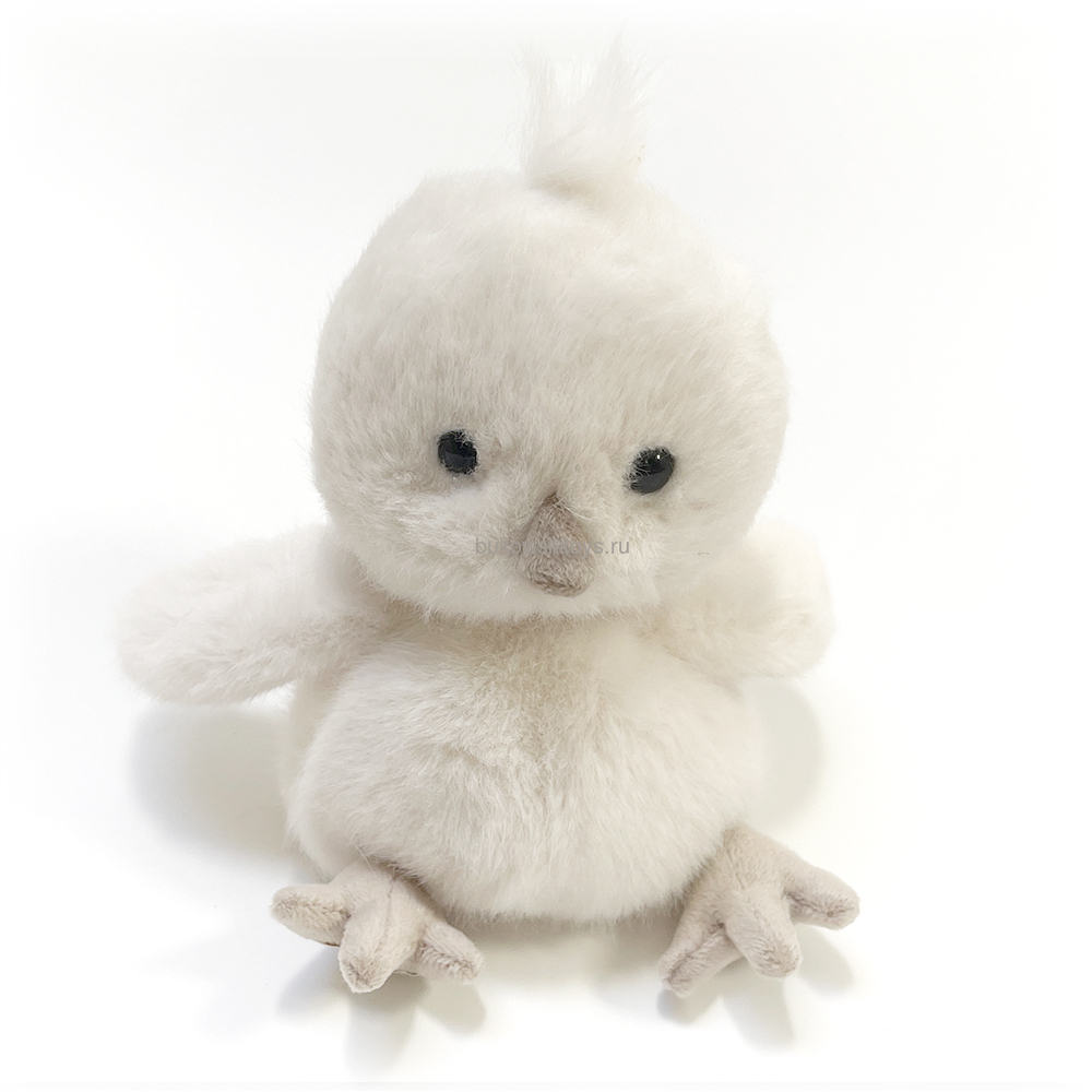  Baby Chicky , 15  ()