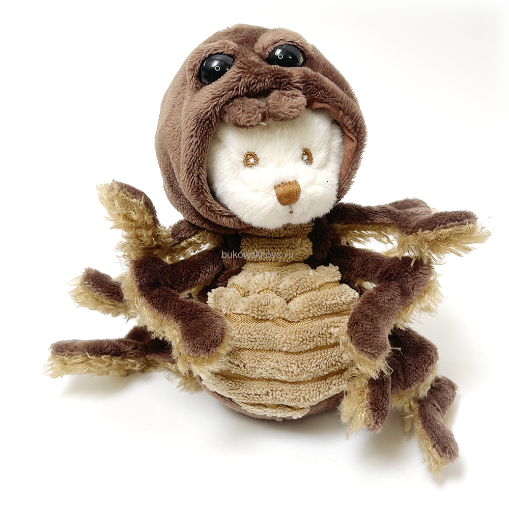 - Spider, 15 ()