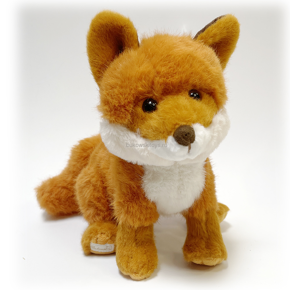  Sweet Clever Fox, 25  ()