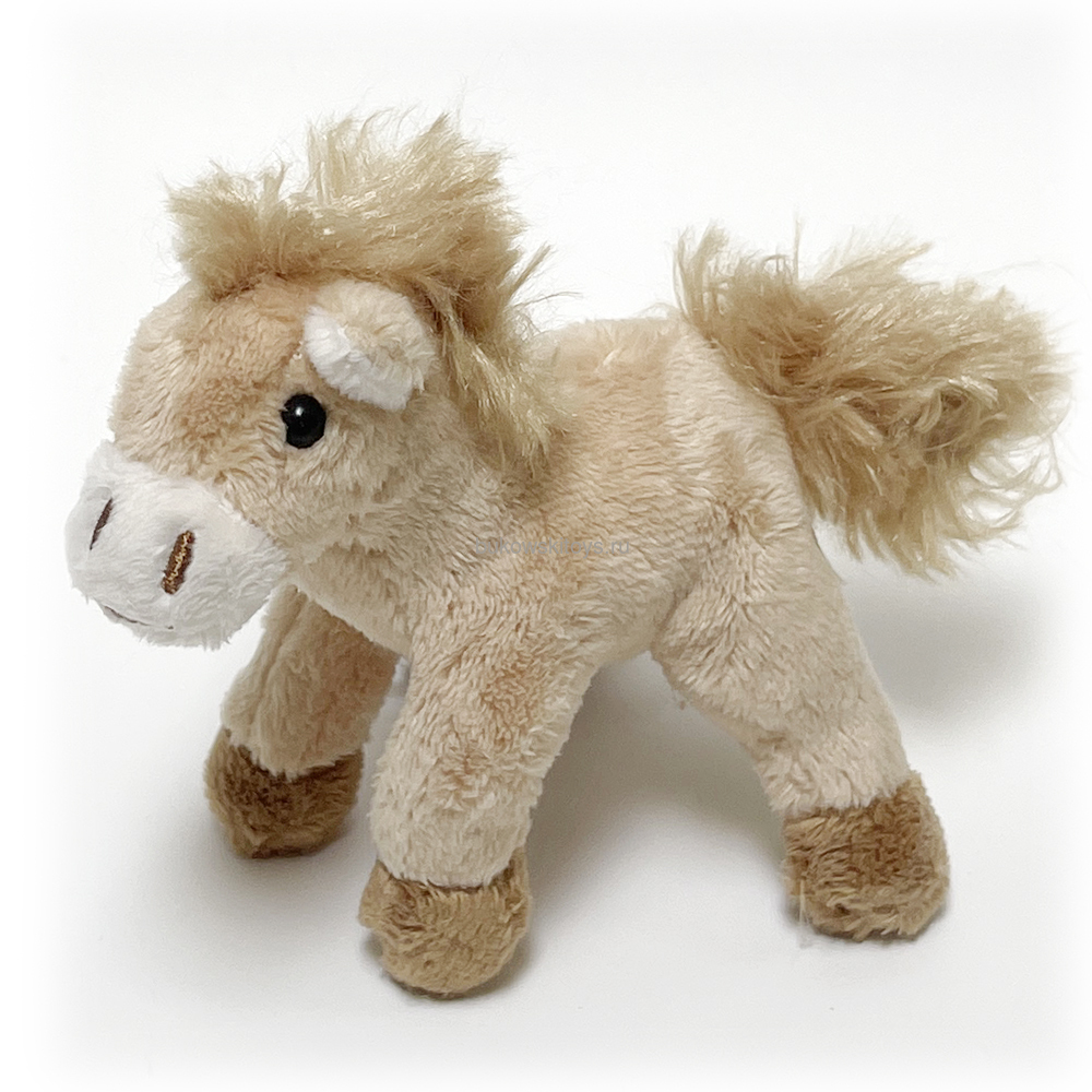 - Pony , 10 ()