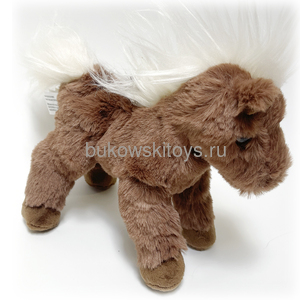  Pony -, 15