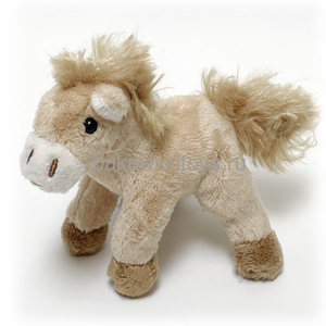 - Pony , 10