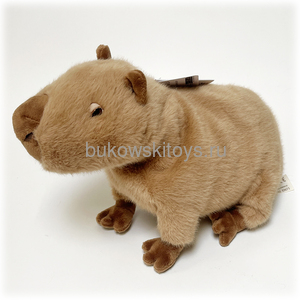 �������� Theo, 25��