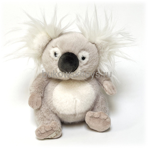 ����� Baby Koala, 15��