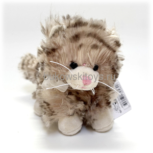 ������-��� Maciek, 10��